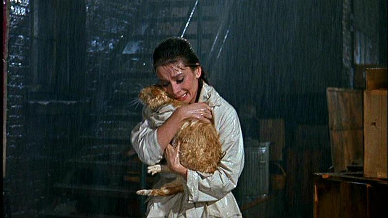 Лучшие фильмы для женщин: ТОП-10 интересных кинолент о женщинах