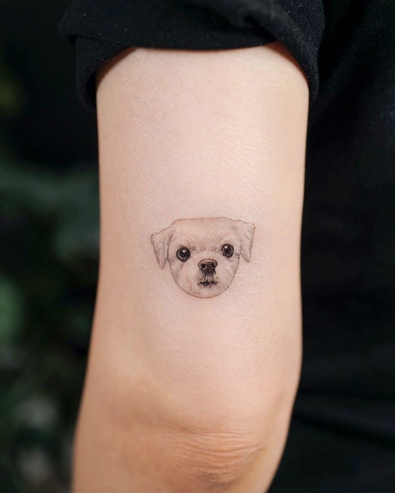 Маленькие тату для девушек 2026: эскизы, дизайн, идеи рисунков