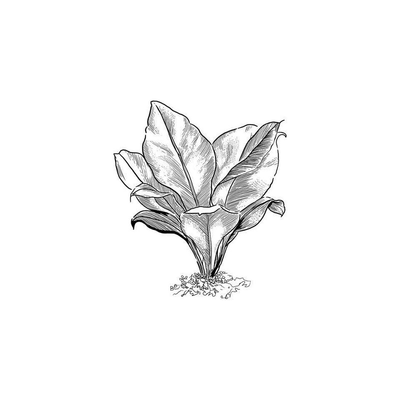 Маленькие тату для девушек 2026: эскизы, дизайн, идеи рисунков