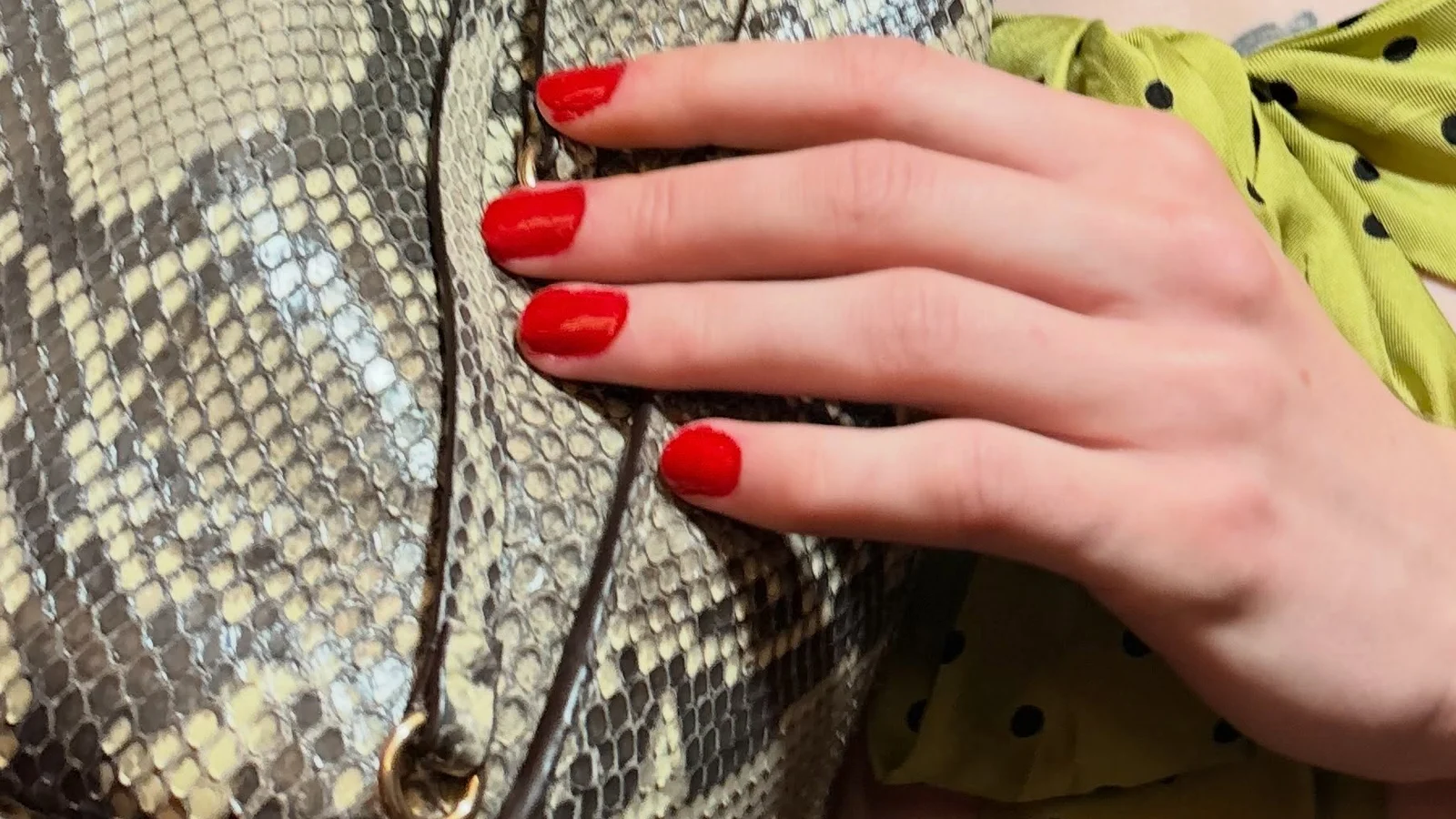 Короткие вишнёвые ногти на сумке из кожи питона за кулисами Miu Miu